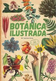 Libro descargable — “Guía práctica: Cultiva en maceta