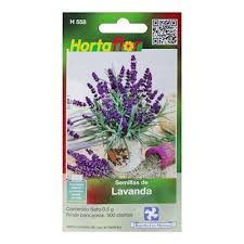 Semillas de Lavanda (Pack 100)